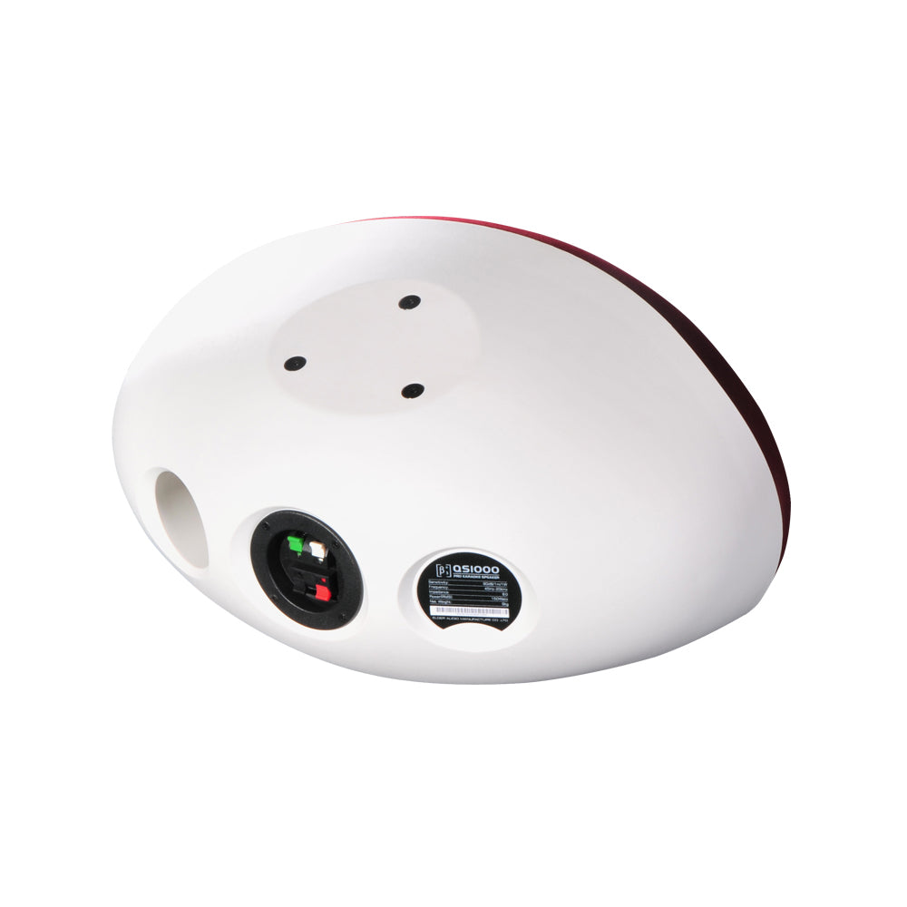 Beta3 QS1000 10" Public Address Surface Speaker