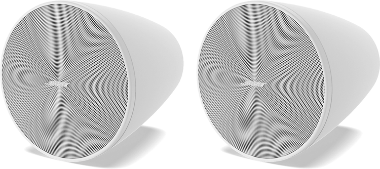 Bose DESIGNMAX DM5P Pendant Speaker Single-Point Suspension System For A Sleek, Attractive Appearance - Pair