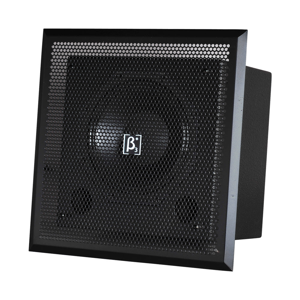 Beta3 CSR10T 10" Two-way Full Range Cinema Hall LoudSpeaker