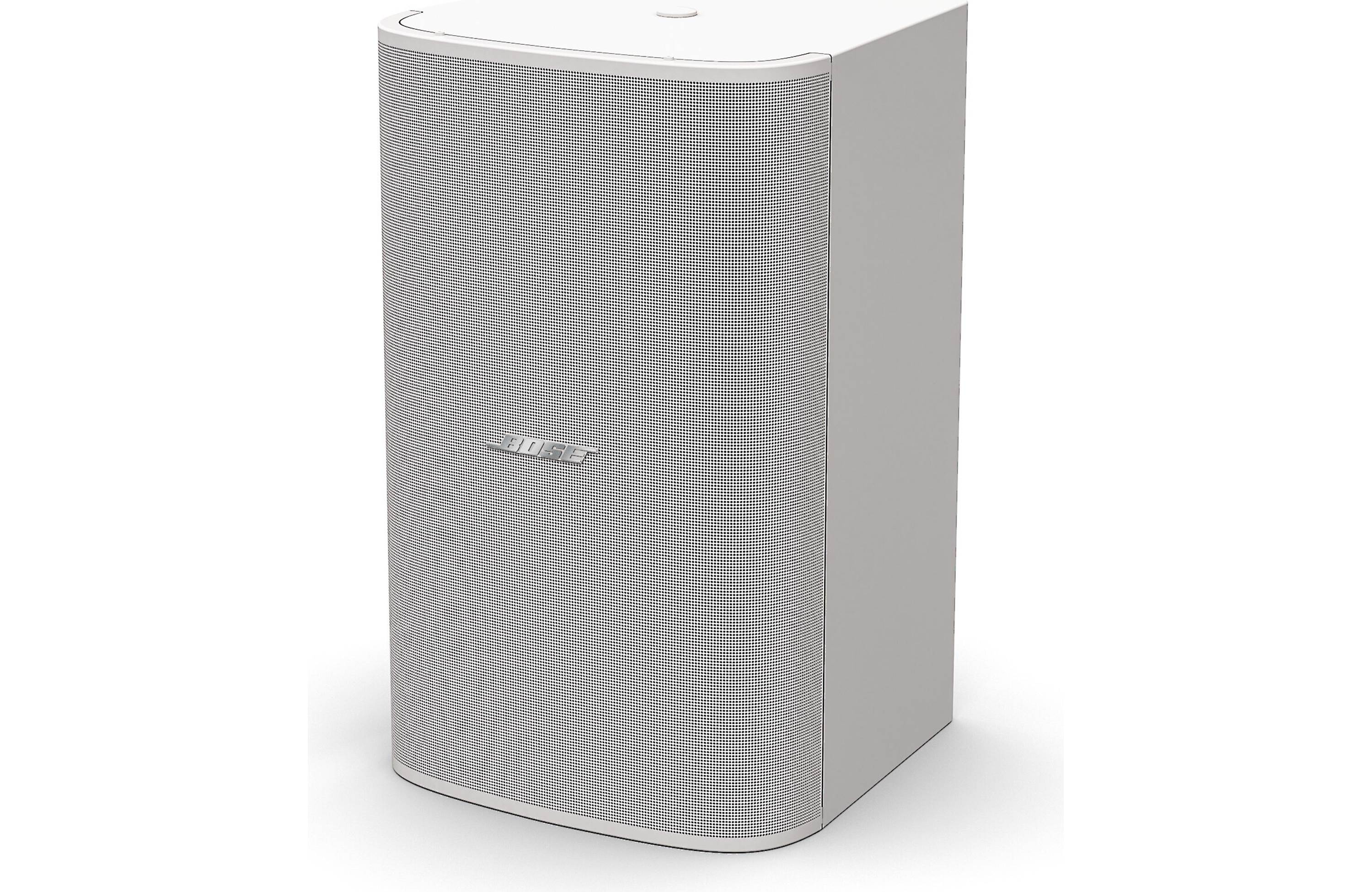 Bose® DesignMax DM10S-Sub 10" Passive Subwoofer - Each