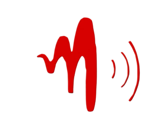 Audiomaxx Speakers