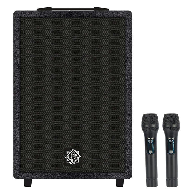 Digimore DT-120X Vibe Storm 12" Trolley Speaker with 120W RMS and Dual Wireless Microphones