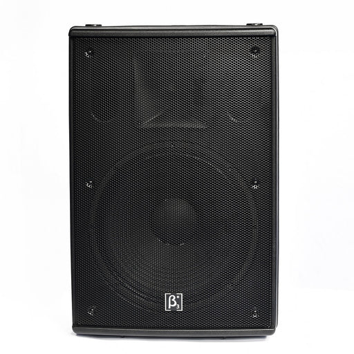 Beta3 N10 10" Two Way Full Range Speaker