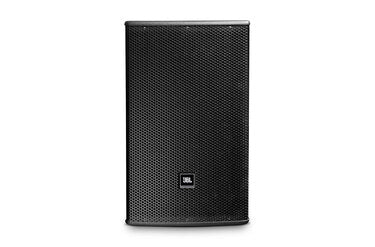 JBL AC266 2-Way Full-Range Loudspeaker with 1 × 300mm (12”) LF Driver for Professional Installations