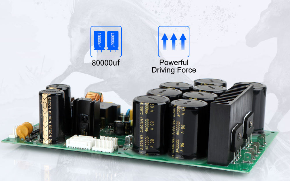 Tonewinner AD2500 Custom 2.0 1000W Mono High Power Home Movie Power Amplifier -Each